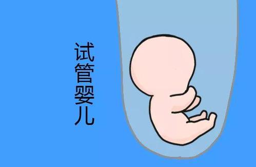 有偿同志借卵怎么选